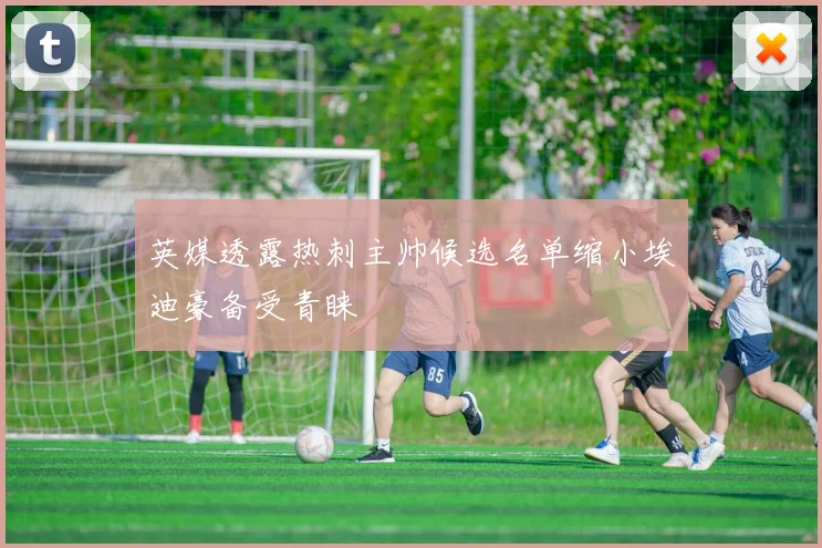 英媒透露热刺主帅候选名单缩小埃迪豪备受青睐