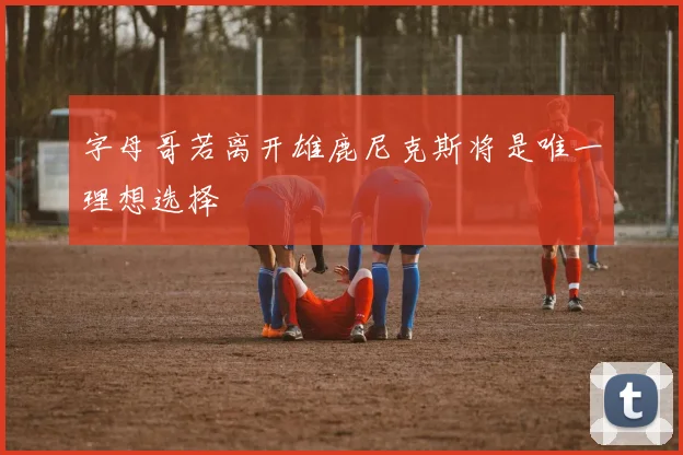 字母哥若离开雄鹿尼克斯将是唯一理想选择