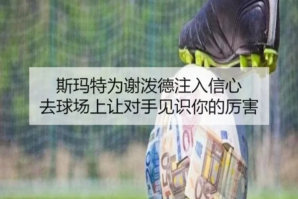 斯玛特为谢泼德注入信心 去球场上让对手见识你的厉害 - CSLBuyBalls