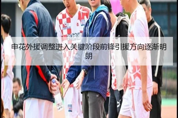 申花外援调整进入关键阶段前锋引援方向逐渐明朗 - CSLBuyBalls